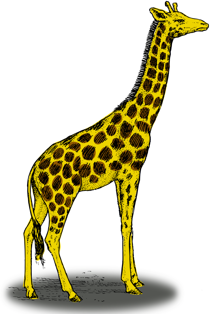 Onlinelabels clip art colored. Clipart giraffe simple