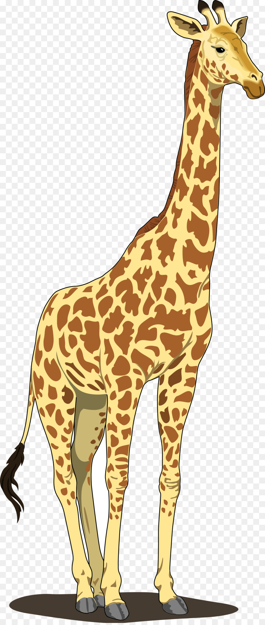 Family cartoon transparent clip. Clipart giraffe tall thing