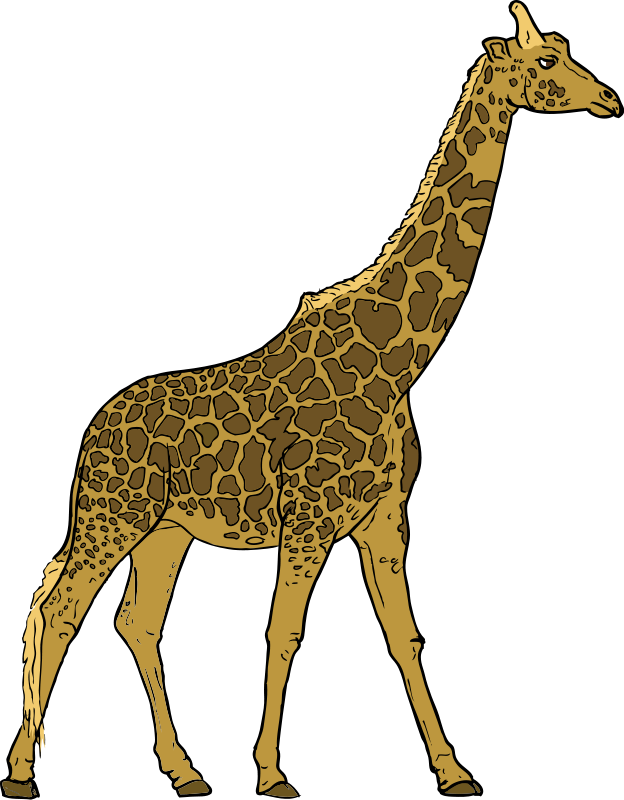 Clip art royalty free. Clipart giraffe tall thing