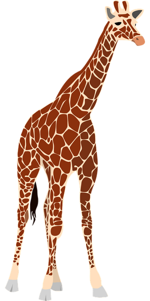 clipart giraffe texture