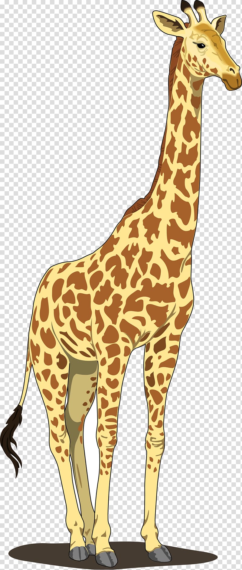 clipart giraffe transparent background