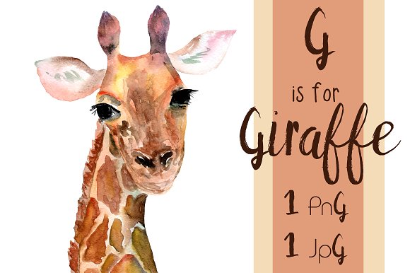 Clipart giraffe watercolor. Print clip art 