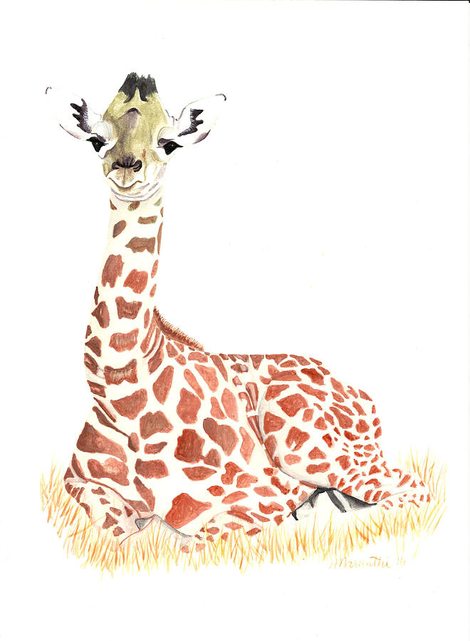 Baby . Clipart giraffe watercolor