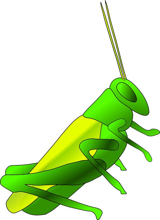 clipart girl cricket
