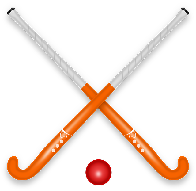 Clipart girl hockey. Nigerian representatives preparations satisfactory