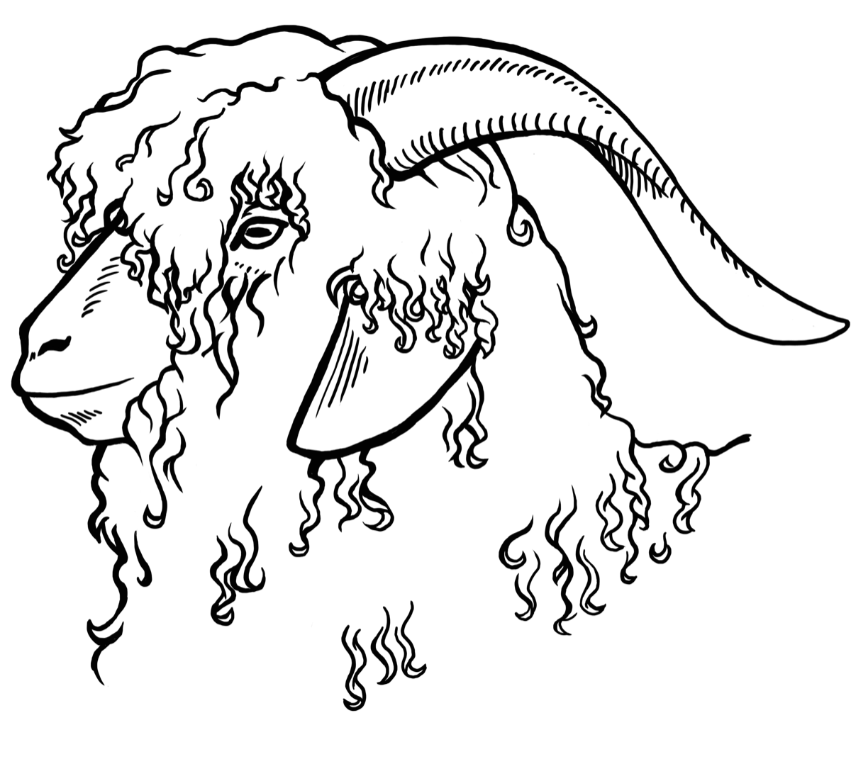 clipart goat angora goat