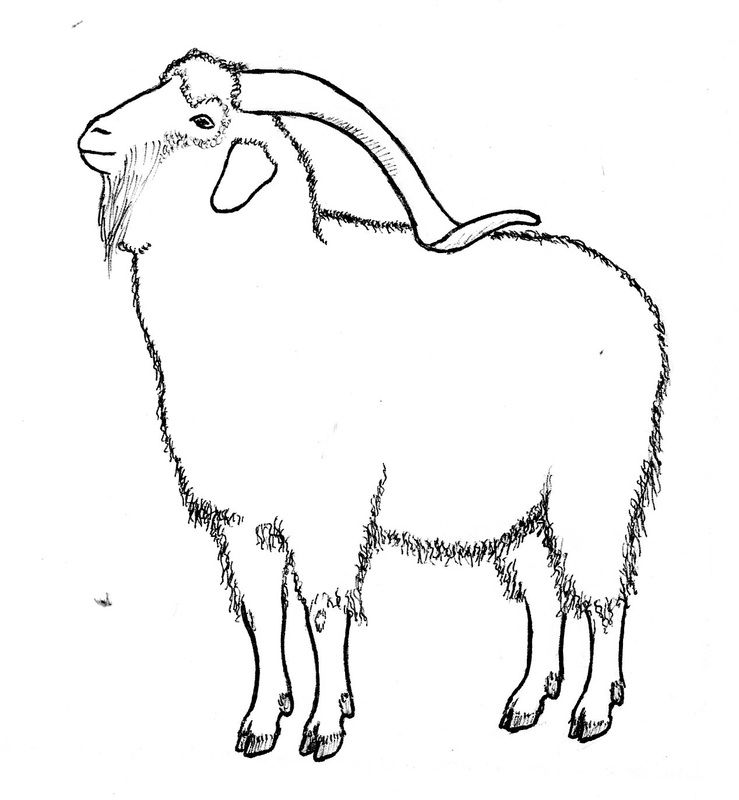 clipart goat angora goat