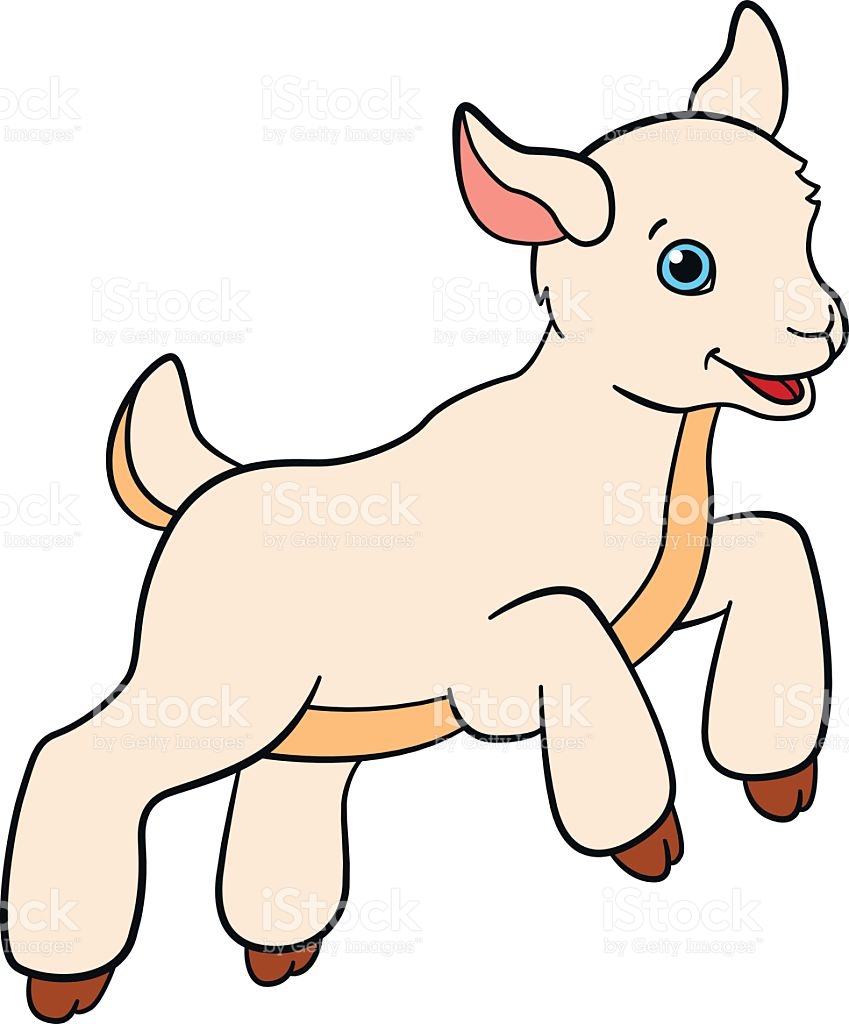 clipart goat baby goat