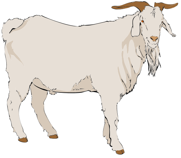 clipart goat big goat