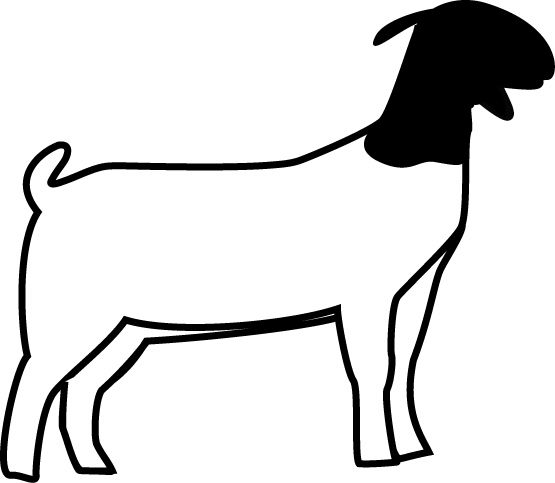 meat clipart goat meat