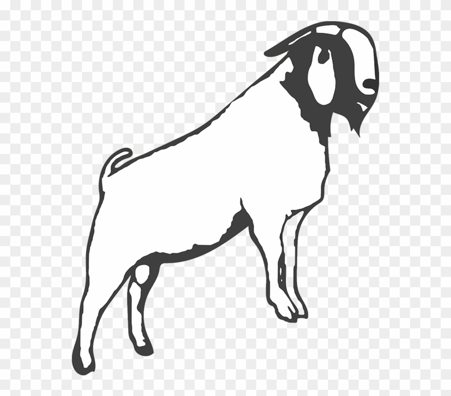 clipart goat boer goat