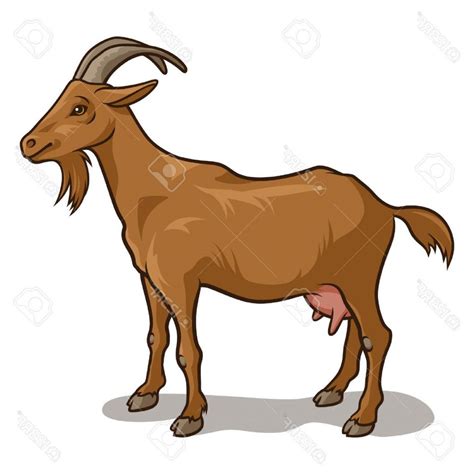 Clip art pillow . Goat clipart brown goat