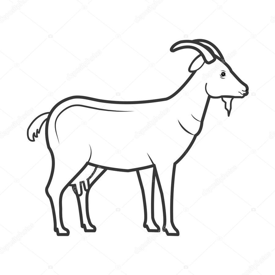 clipart goat chevre