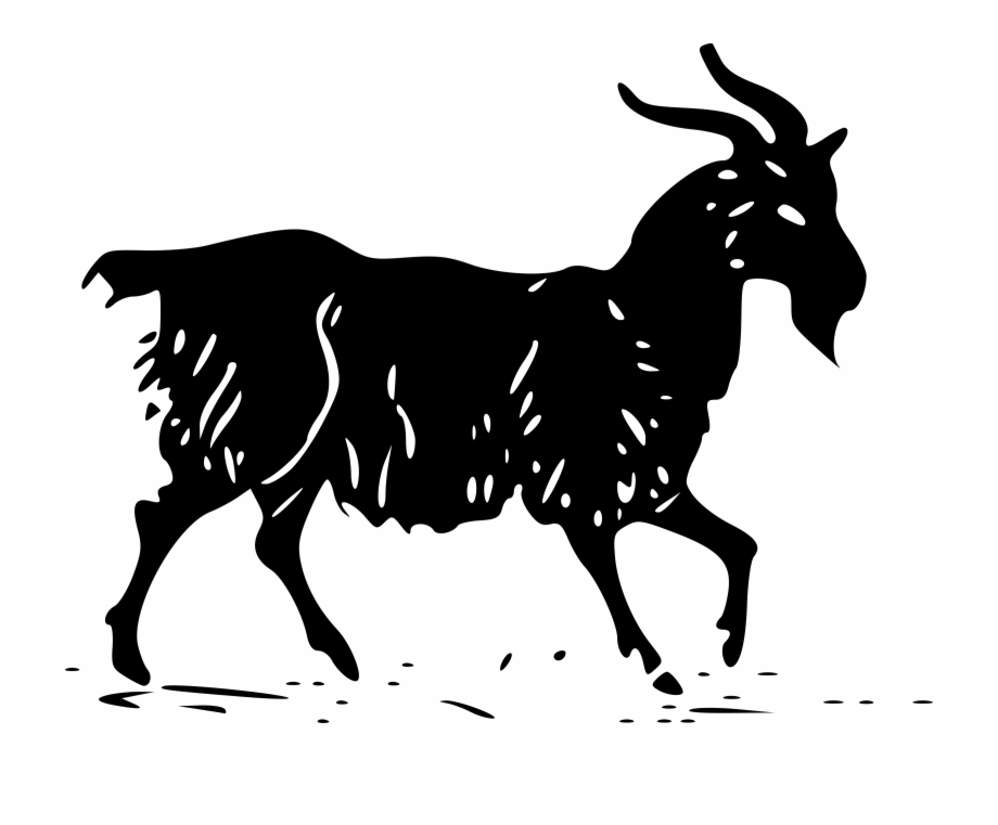 goat clipart chivo