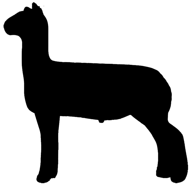 Show lamb at getdrawings. Clipart sheep silhouette