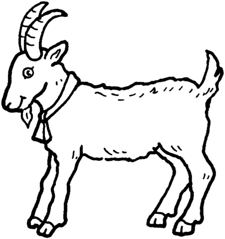 Goat clipart coloring page. Billy free printable pages