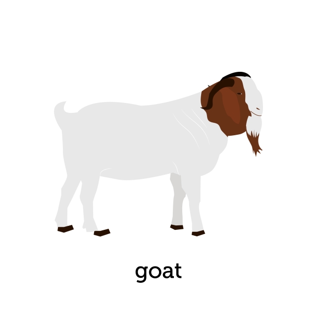 clipart goat domestic animal