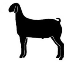 clipart goat fair animal