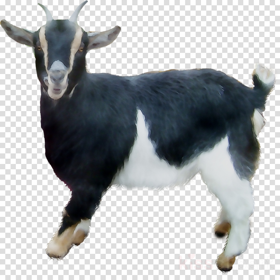 clipart goat family