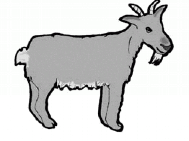 clipart goat gray