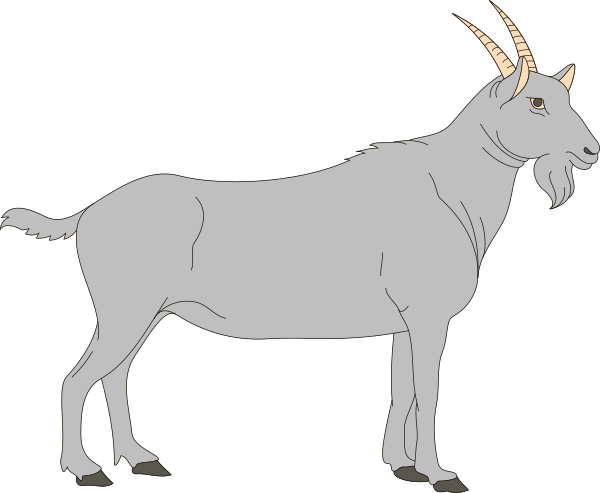 Clipart goat grey goat. Gray clip art at