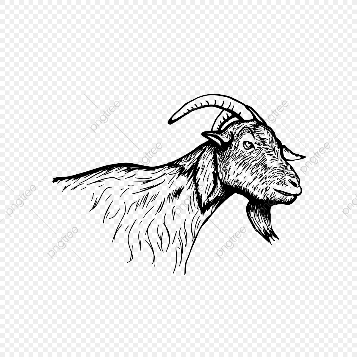 Head vintage psd png. Clipart goat hand drawn