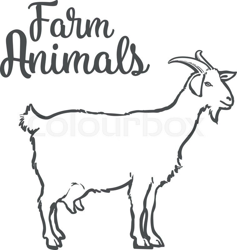 Farm pet sketch by. Clipart goat hand drawn
