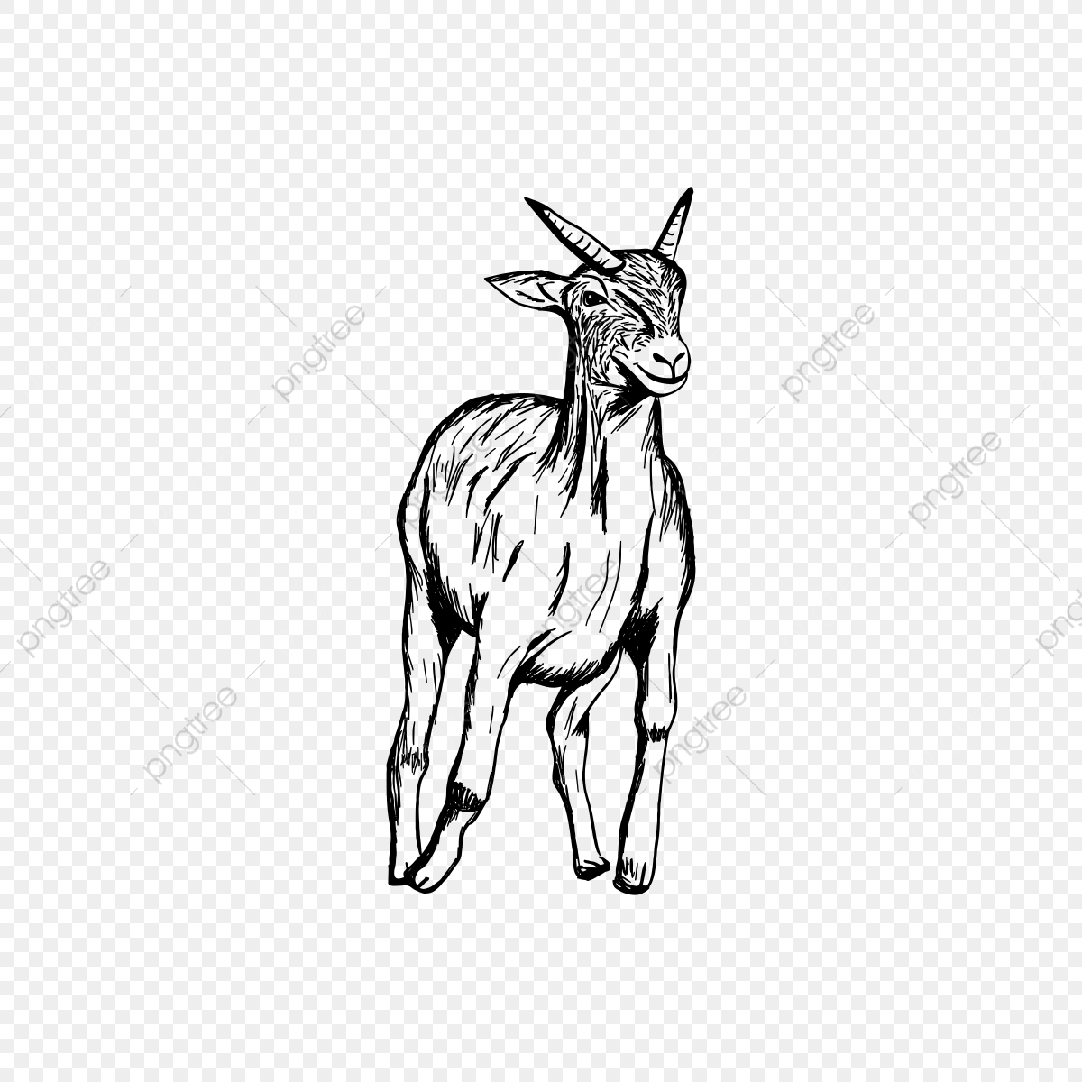 Clipart goat hand drawn. Psd png transparent 