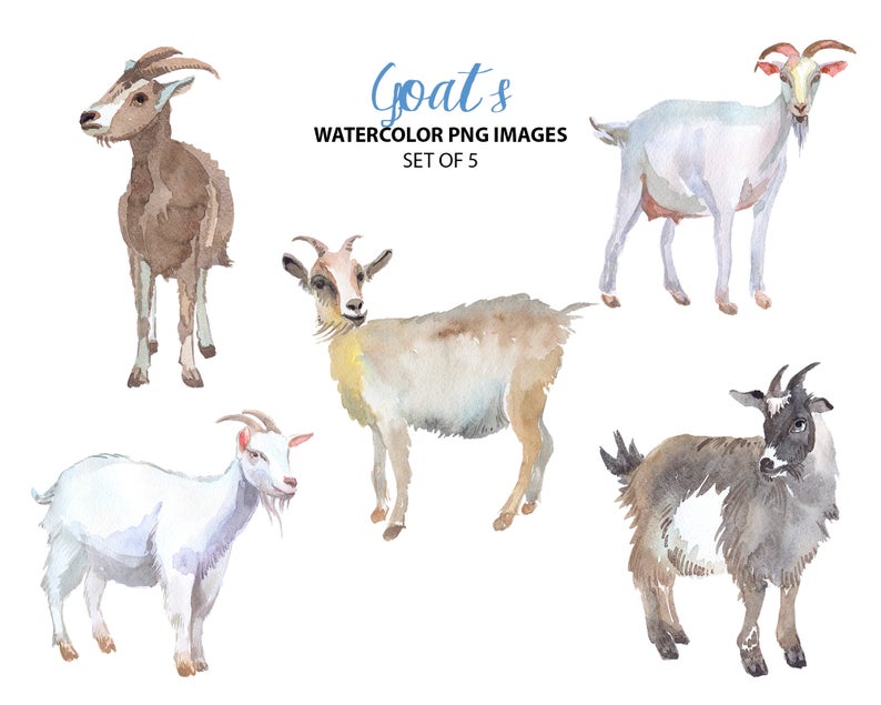 clipart goat herd goat