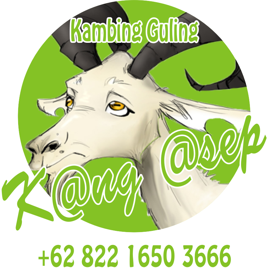 clipart goat kambing