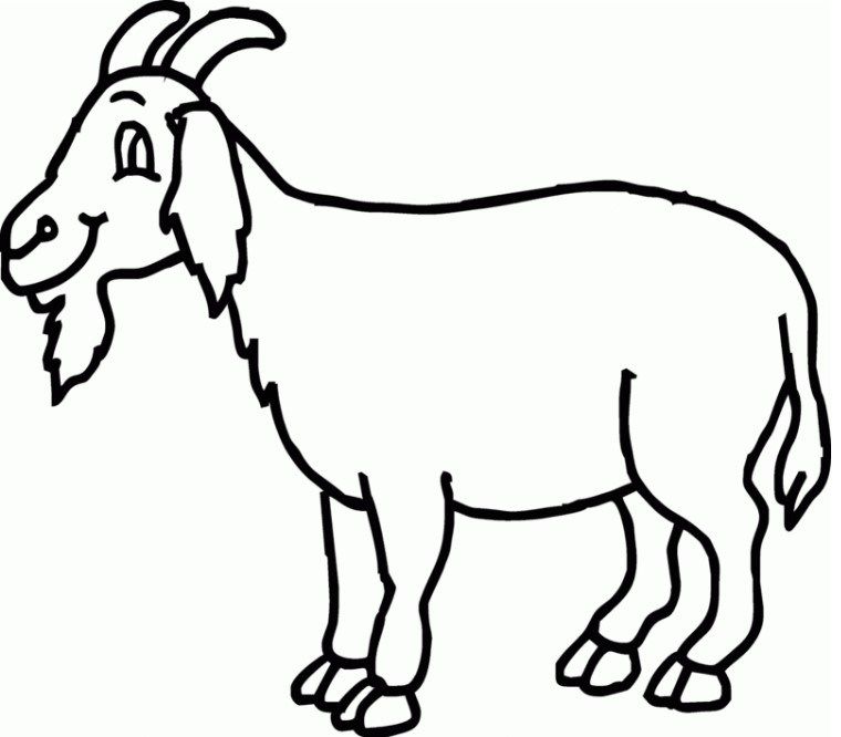 Clipart goat kambing  Clipart goat kambing  Transparent 