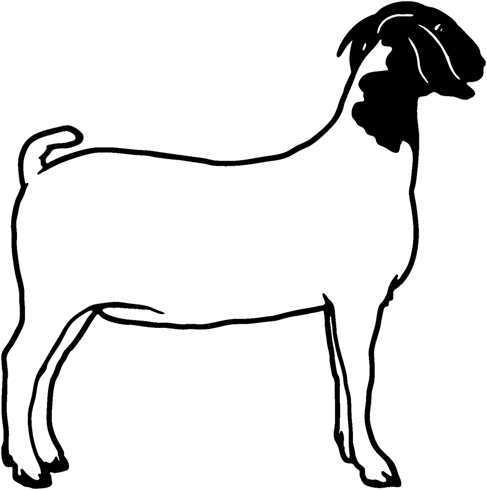 goat clipart market goat