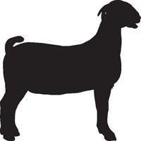 clipart goat meat goat