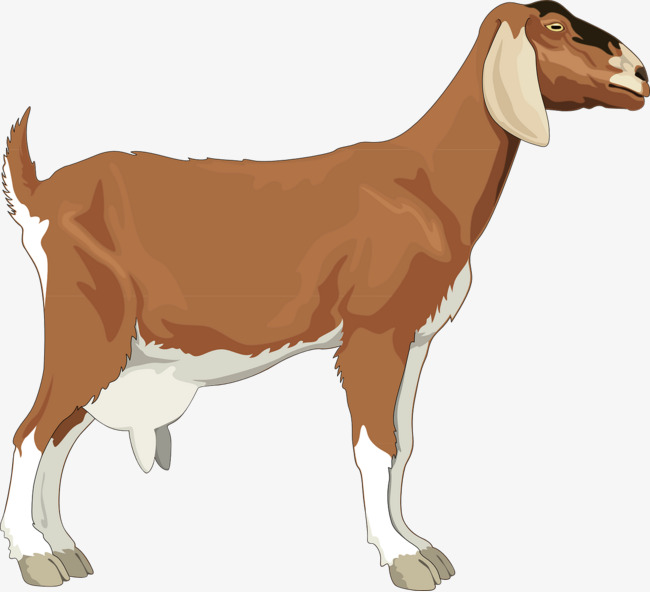 clipart goat milk goat