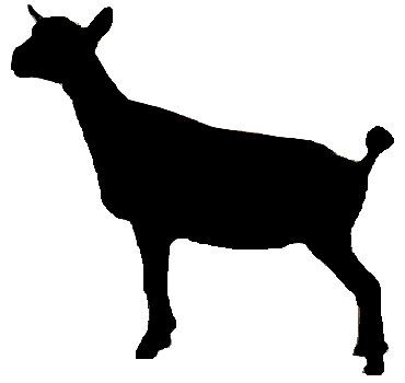 clipart goat nigerian dwarf goat