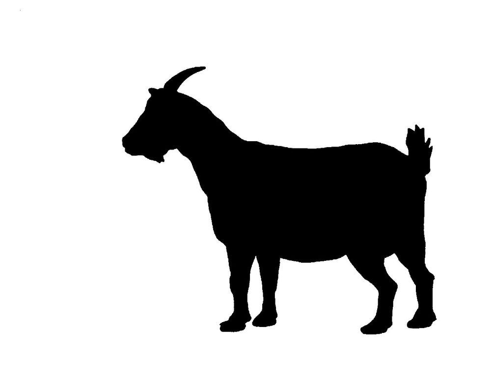 clipart goat nigerian dwarf goat