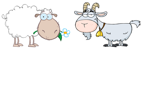 Goat clipart sheep. Great picture to go