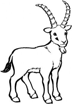 clipart goat sketch