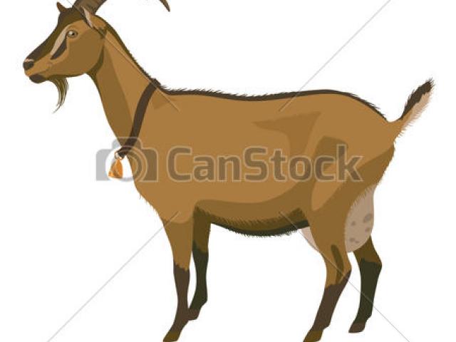 clipart goat stick