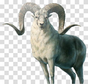 clipart goat strong