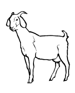 Clipart goat traceable. Coloring pages panda free