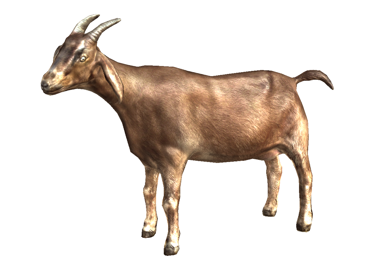 female clipart goat