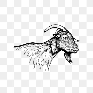 clipart goat vector