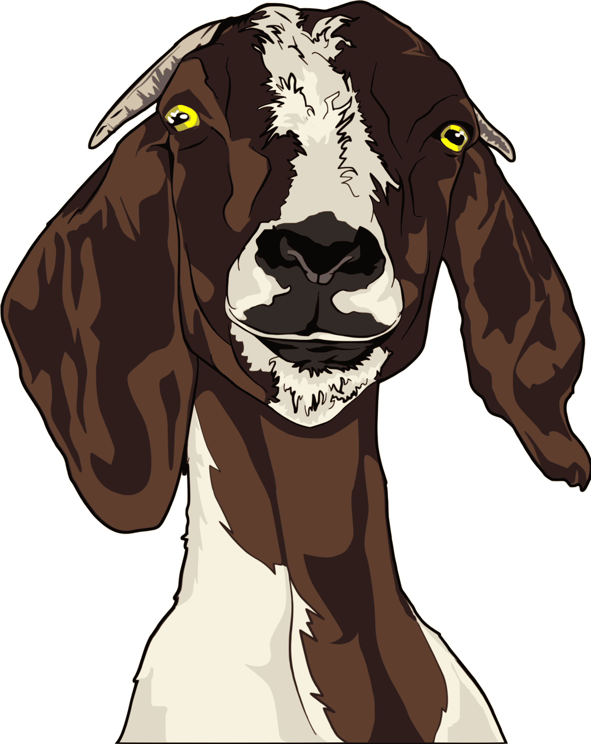 Clipart goat vintage.  collection of face