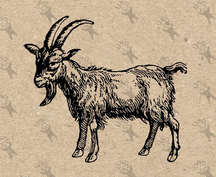 Image farm country black. Clipart goat vintage