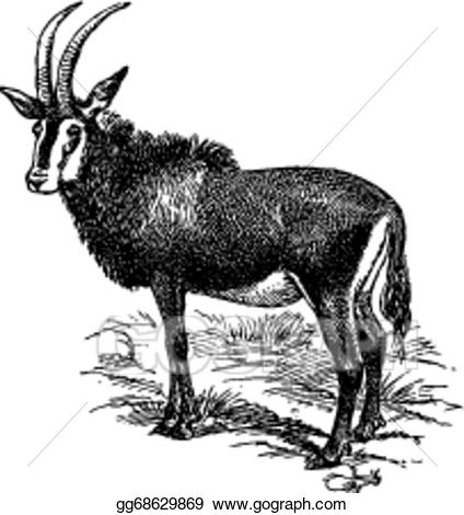Clipart goat wild goat. Clip art vector stock