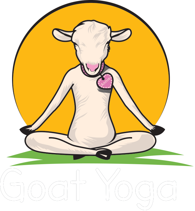 New york capital region. Clipart goat yoga