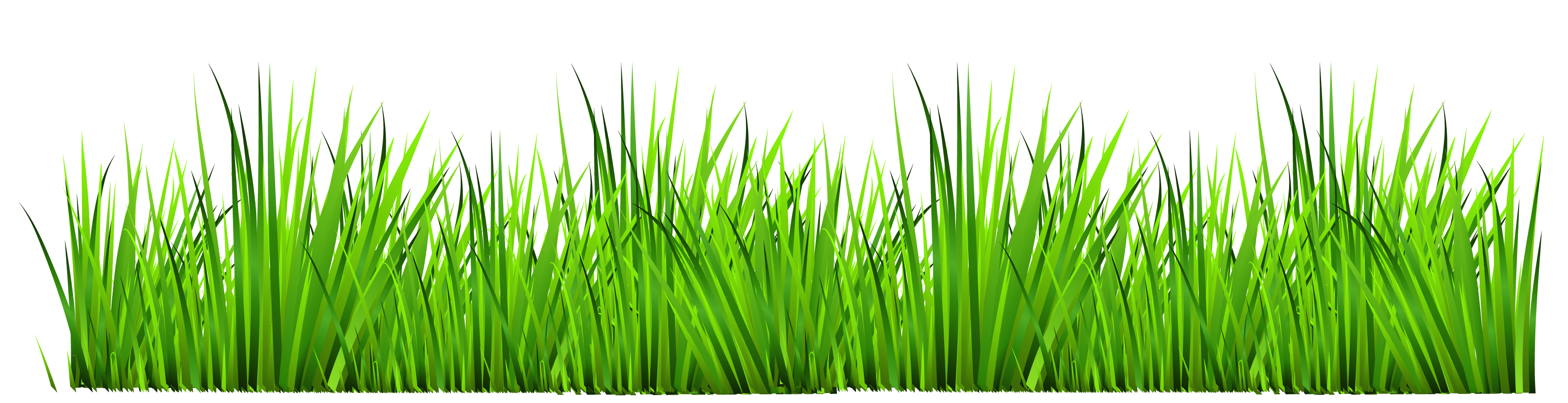 Clipart grass. Free cliparts download clip