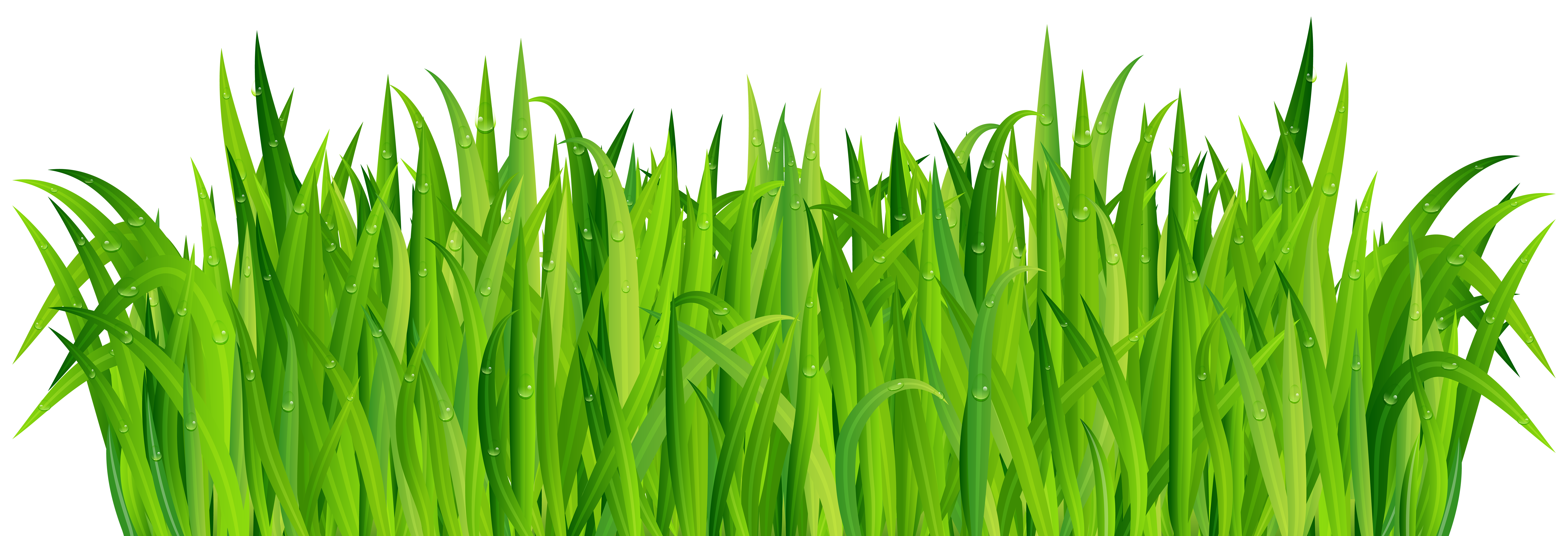 grass clipart piece