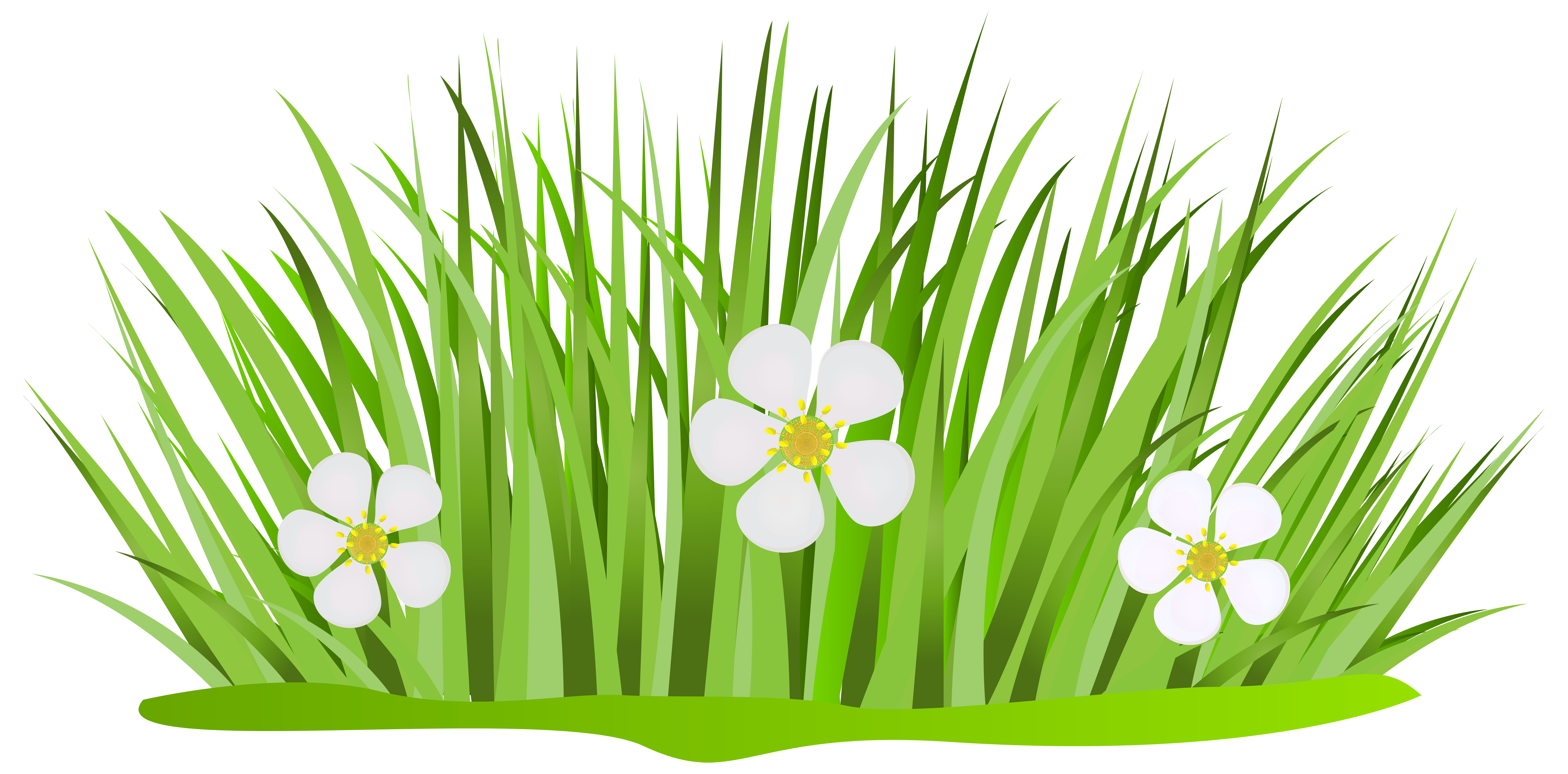 daisy clipart patch grass
